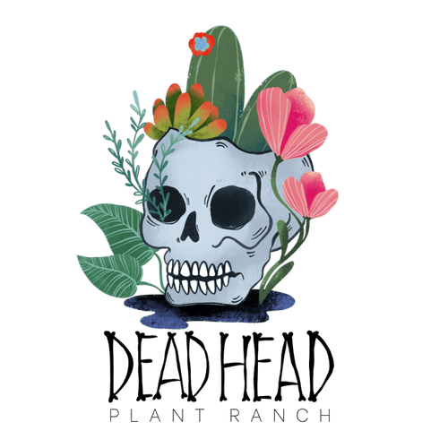 Dead-Head-Plant-Ranch-Logo-Transparent-Background-2-1