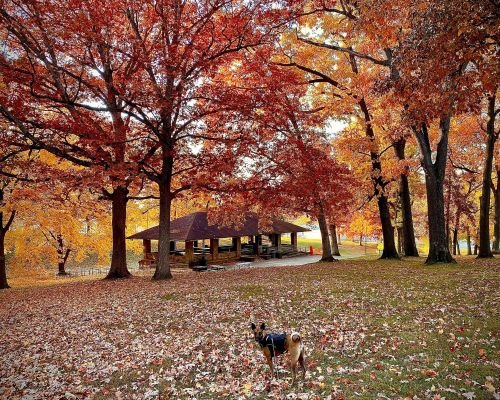 FallPark