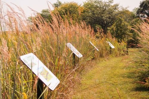 StoryWalk-2