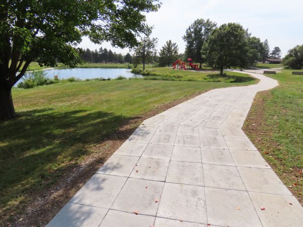 a path with grass and trees by a body of water