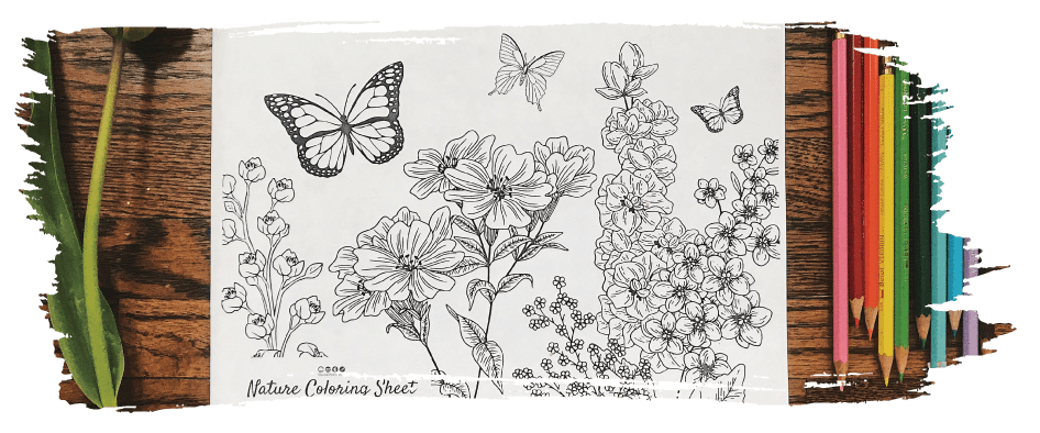 ColoringSwash